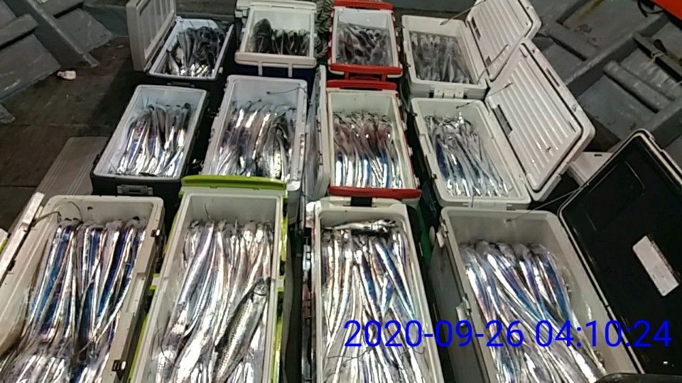 낚시뚜,갈치,국동항,여수 비너스호,낚시뚜9