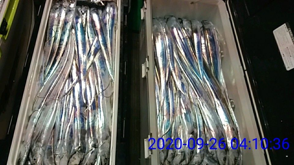 낚시뚜,갈치,국동항,여수 비너스호,낚시뚜7