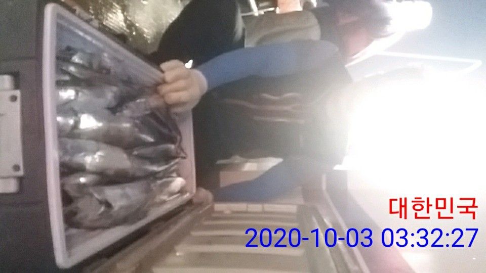 낚시뚜,갈치,국동항,여수 비너스호,낚시뚜22