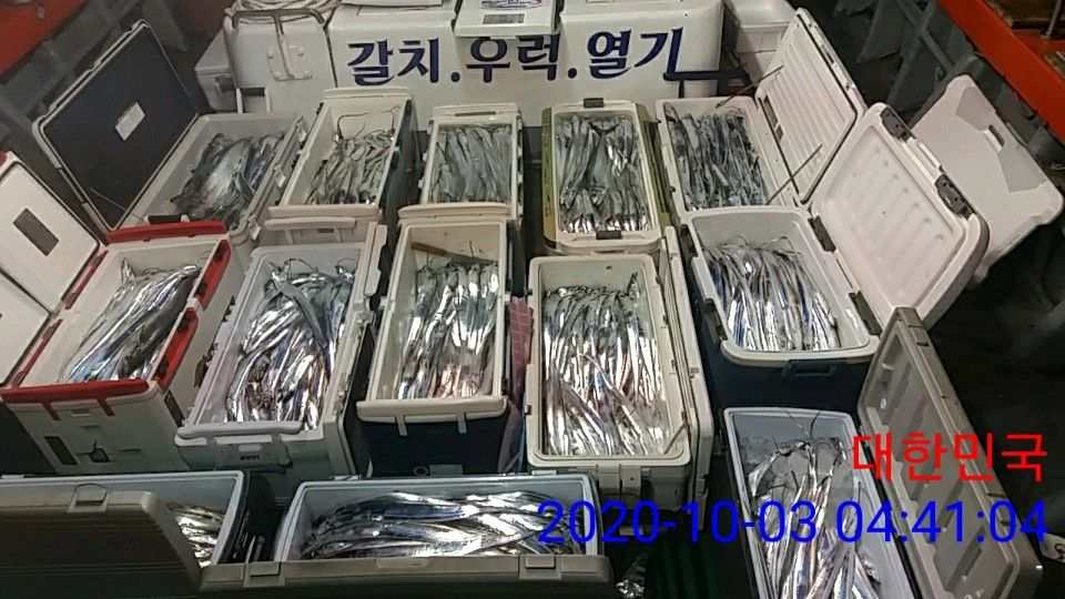 낚시뚜,갈치,국동항,여수 비너스호,낚시뚜12
