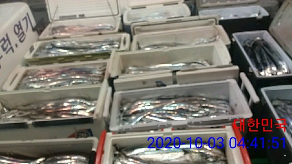 낚시뚜,갈치,국동항,여수 비너스호,낚시뚜4