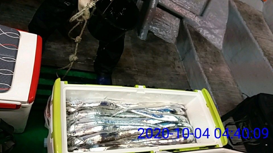 낚시뚜,갈치,국동항,여수 비너스호,낚시뚜26