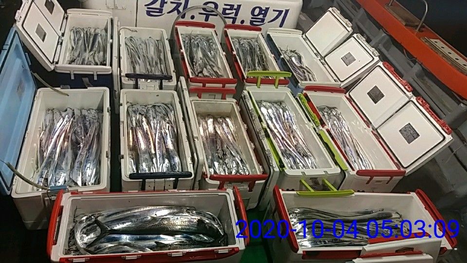 낚시뚜,갈치,국동항,여수 비너스호,낚시뚜33