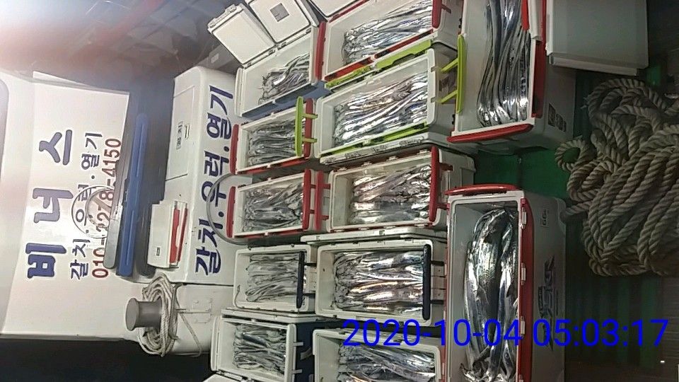 낚시뚜,갈치,국동항,여수 비너스호,낚시뚜34