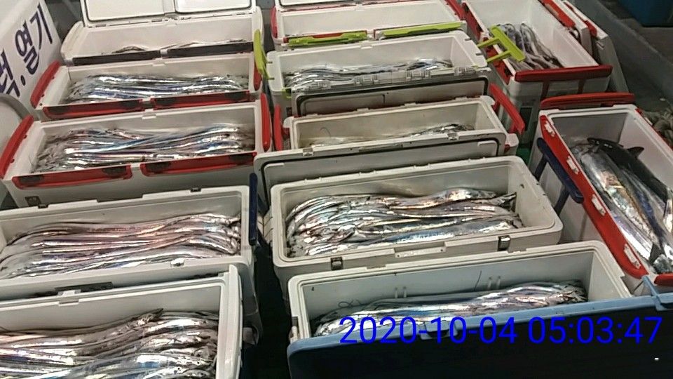 낚시뚜,갈치,국동항,여수 비너스호,낚시뚜32