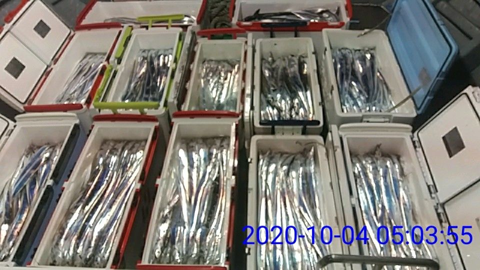 낚시뚜,갈치,국동항,여수 비너스호,낚시뚜2