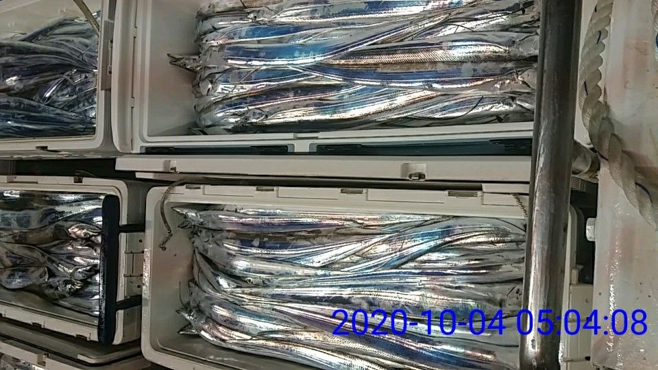 낚시뚜,갈치,국동항,여수 비너스호,낚시뚜7