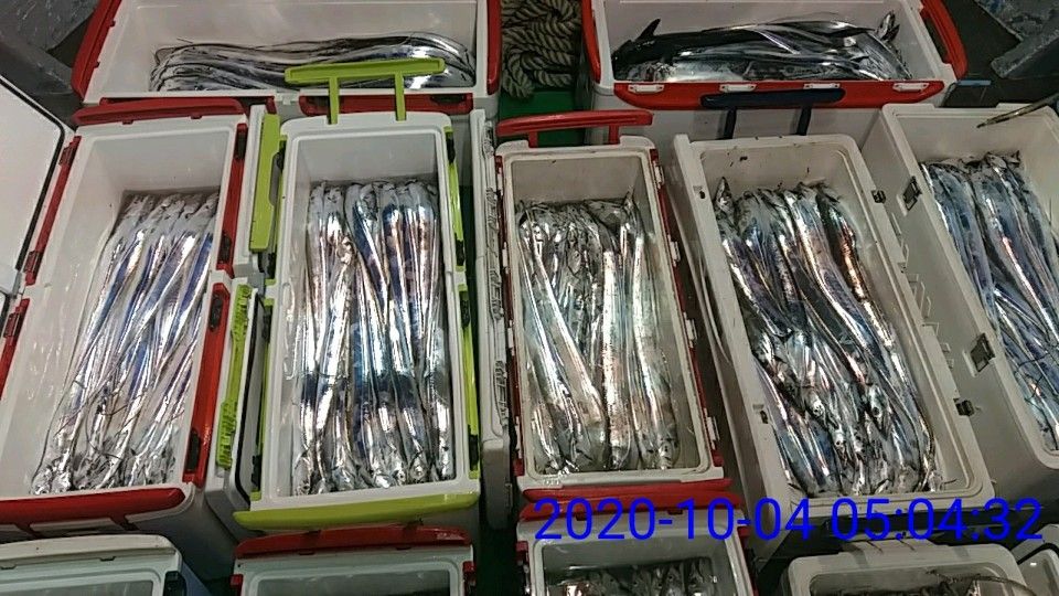 낚시뚜,갈치,국동항,여수 비너스호,낚시뚜3