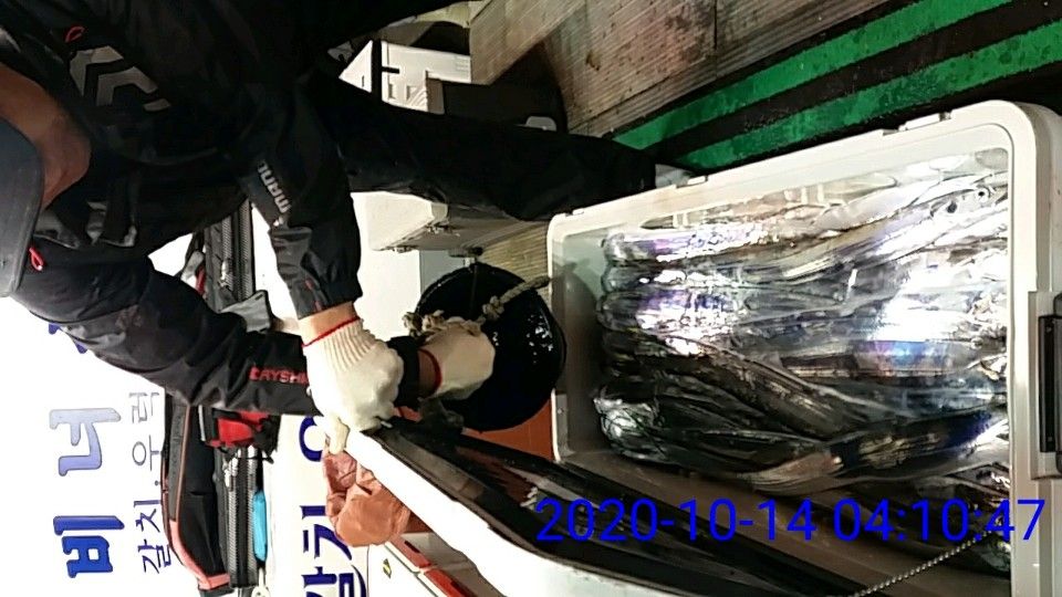 낚시뚜,갈치,국동항,여수 비너스호,낚시뚜20