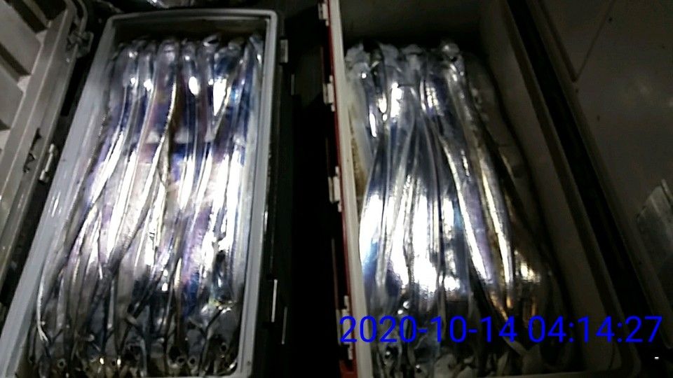 낚시뚜,갈치,국동항,여수 비너스호,낚시뚜15