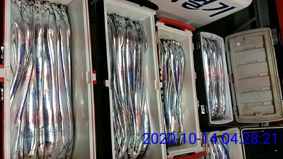 낚시뚜,갈치,국동항,여수 비너스호,낚시뚜10
