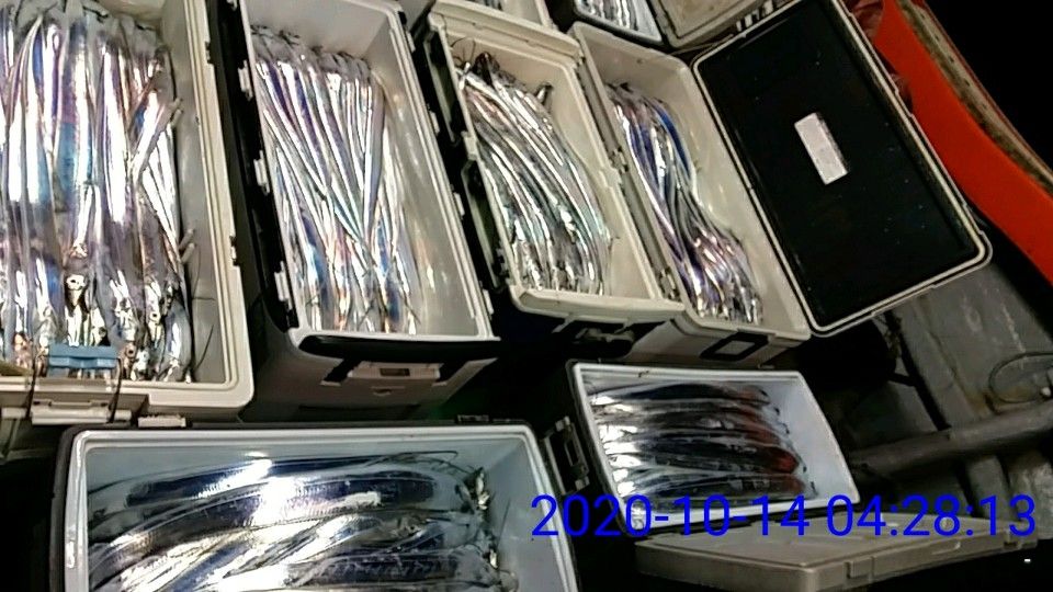낚시뚜,갈치,국동항,여수 비너스호,낚시뚜4
