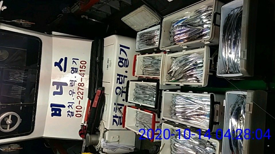 낚시뚜,갈치,국동항,여수 비너스호,낚시뚜2