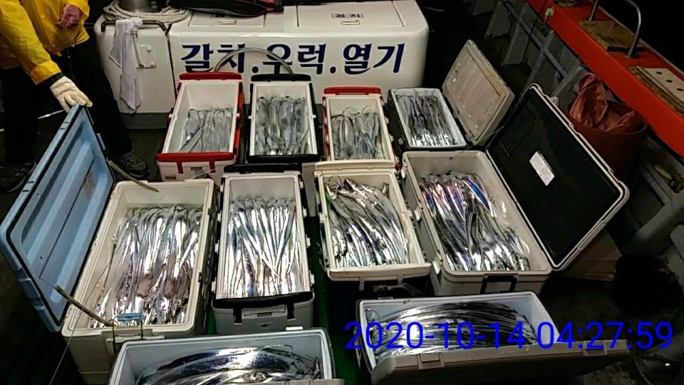 낚시뚜,갈치,국동항,여수 비너스호,낚시뚜0