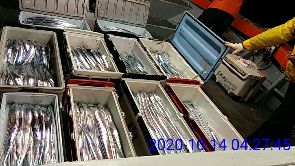 낚시뚜,갈치,국동항,여수 비너스호,낚시뚜8