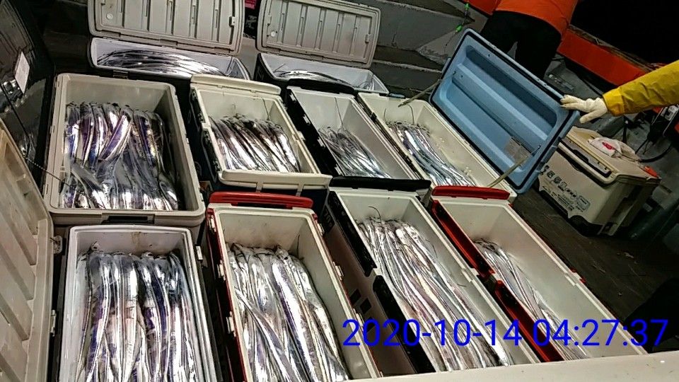 낚시뚜,갈치,국동항,여수 비너스호,낚시뚜1