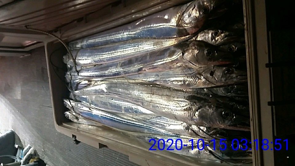 낚시뚜,갈치,국동항,여수 비너스호,낚시뚜17