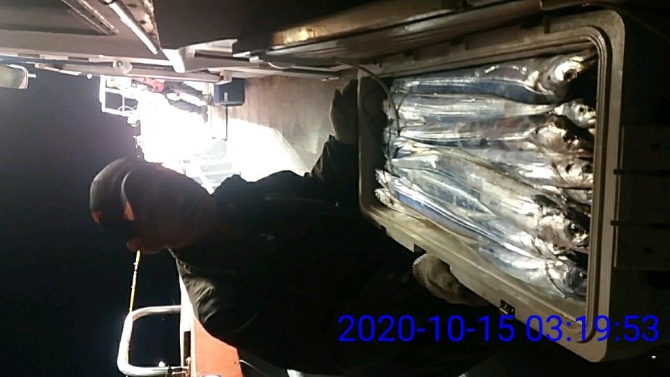 낚시뚜,갈치,국동항,여수 비너스호,낚시뚜22