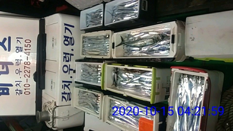 낚시뚜,갈치,국동항,여수 비너스호,낚시뚜14
