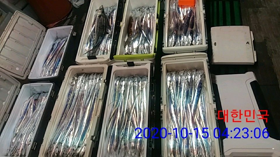 낚시뚜,갈치,국동항,여수 비너스호,낚시뚜1