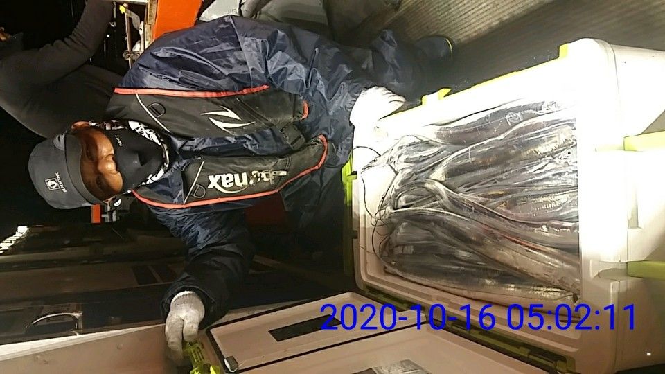 낚시뚜,갈치,국동항,여수 비너스호,낚시뚜20