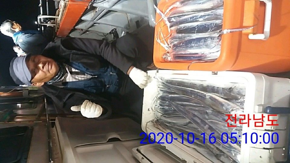 낚시뚜,갈치,국동항,여수 비너스호,낚시뚜19