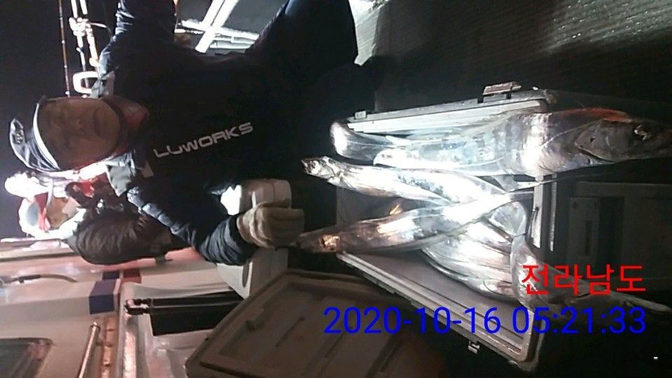 낚시뚜,갈치,국동항,여수 비너스호,낚시뚜18