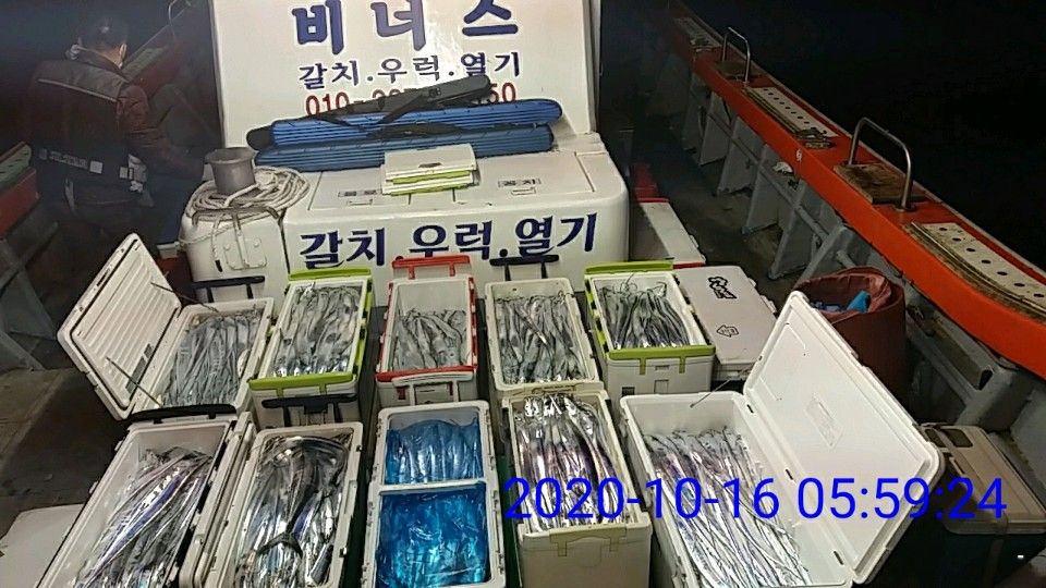 낚시뚜,갈치,국동항,여수 비너스호,낚시뚜11