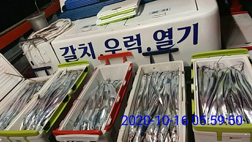 낚시뚜,갈치,국동항,여수 비너스호,낚시뚜5