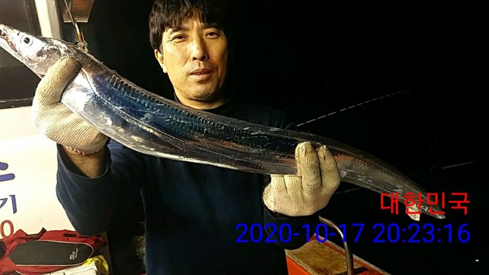 낚시뚜,갈치,국동항,여수 비너스호,낚시뚜31