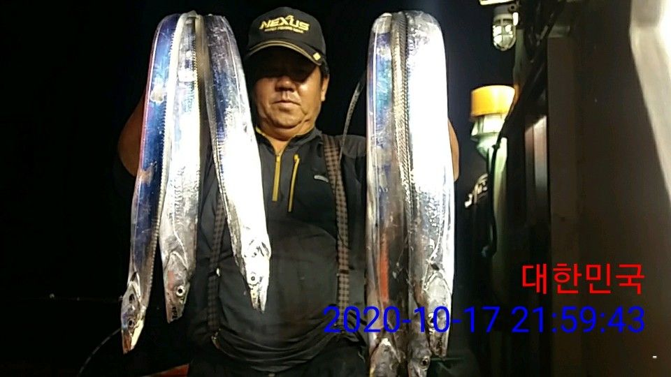 낚시뚜,갈치,국동항,여수 비너스호,낚시뚜26