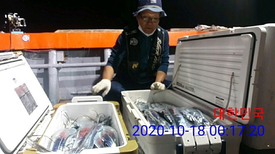 낚시뚜,갈치,국동항,여수 비너스호,낚시뚜16