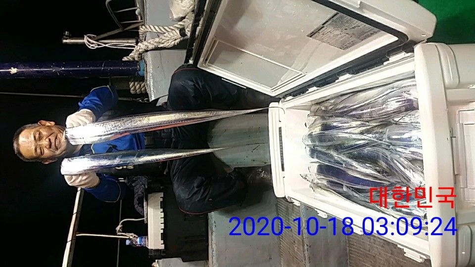 낚시뚜,갈치,국동항,여수 비너스호,낚시뚜17