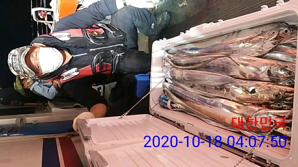 낚시뚜,갈치,국동항,여수 비너스호,낚시뚜15