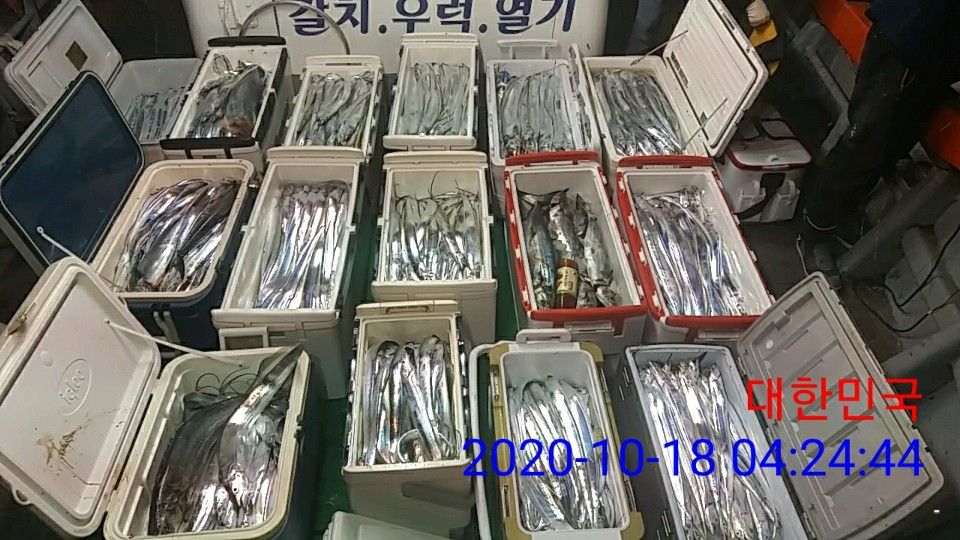 낚시뚜,갈치,국동항,여수 비너스호,낚시뚜8