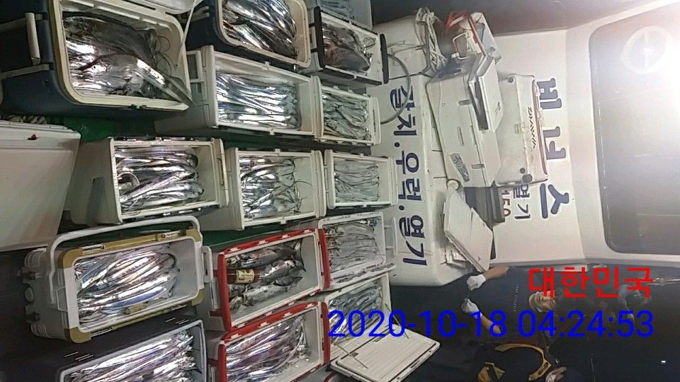 낚시뚜,갈치,국동항,여수 비너스호,낚시뚜10