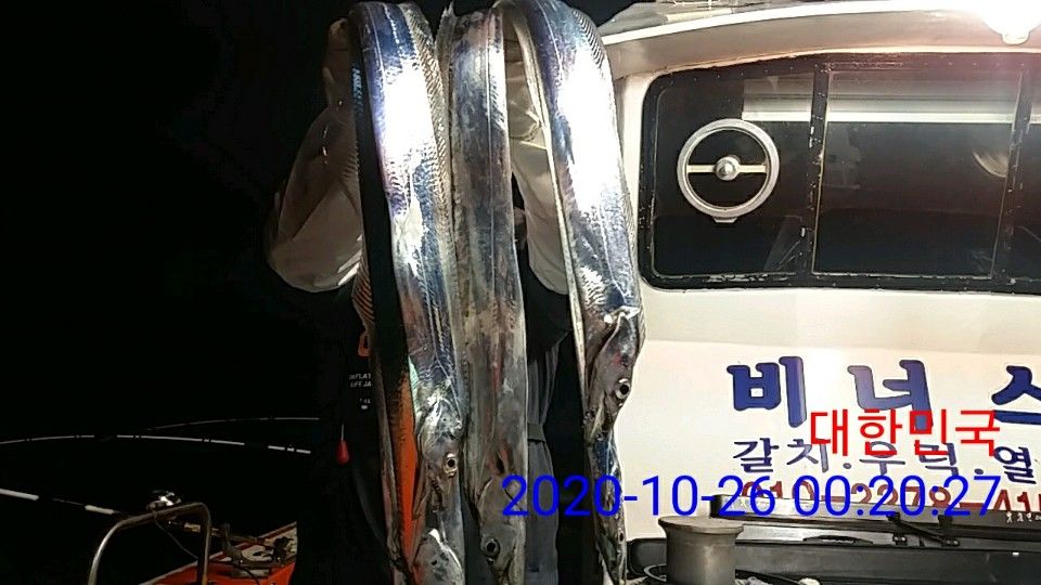 낚시뚜,갈치,국동항,여수 비너스호,낚시뚜24
