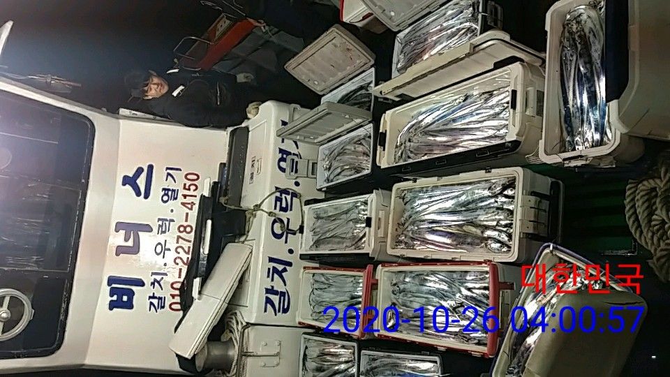 낚시뚜,갈치,국동항,여수 비너스호,낚시뚜12