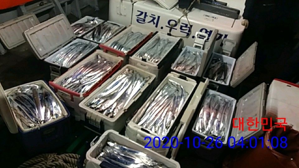 낚시뚜,갈치,국동항,여수 비너스호,낚시뚜14