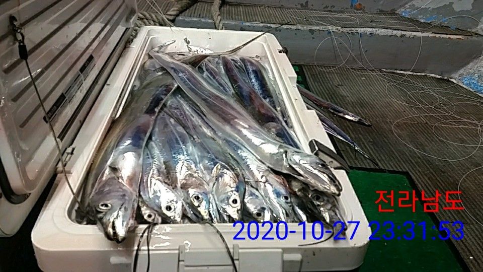 낚시뚜,갈치,국동항,여수 비너스호,낚시뚜25