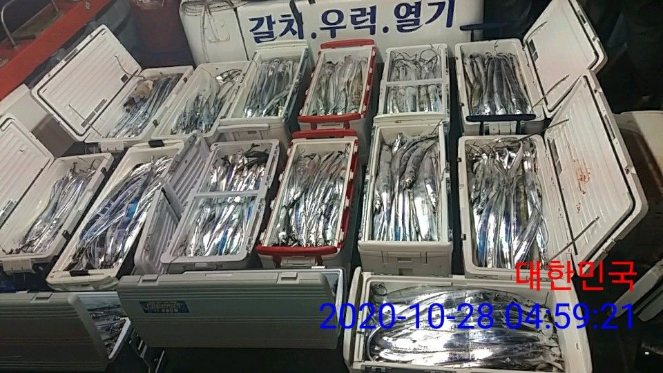 낚시뚜,갈치,국동항,여수 비너스호,낚시뚜12