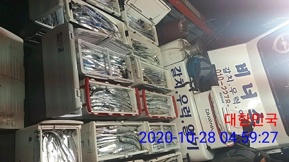 낚시뚜,갈치,국동항,여수 비너스호,낚시뚜9