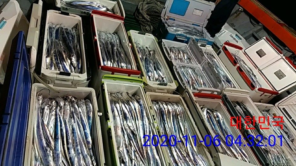 낚시뚜,갈치,국동항,여수 비너스호,낚시뚜27