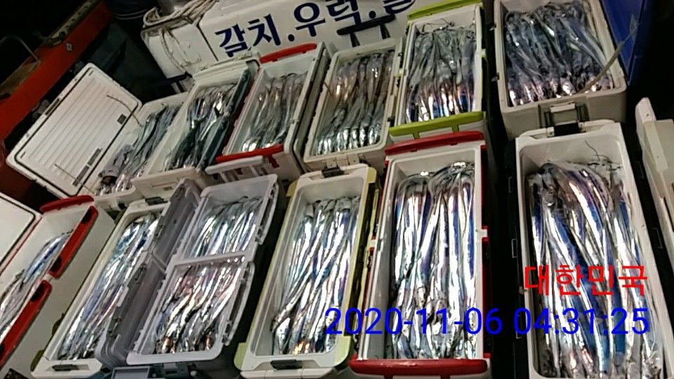 낚시뚜,갈치,국동항,여수 비너스호,낚시뚜2