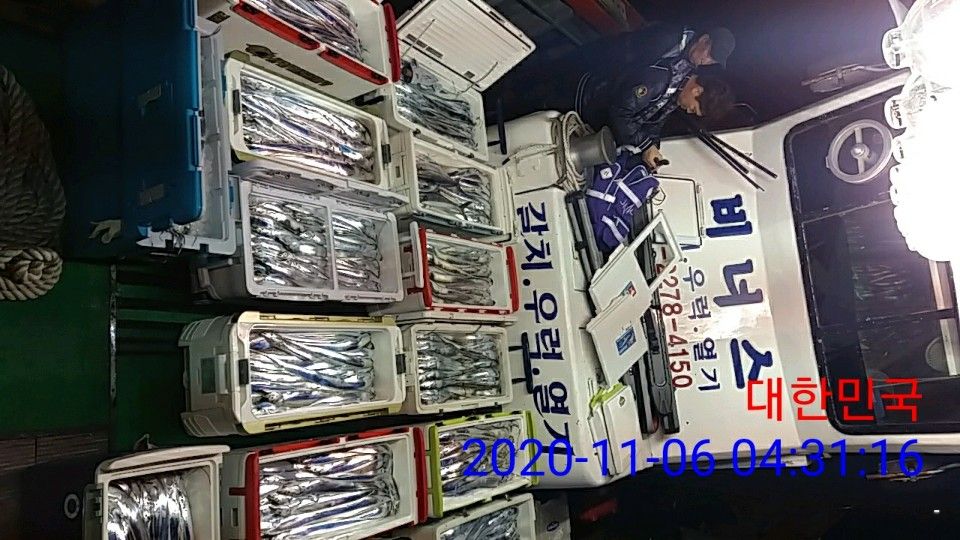 낚시뚜,갈치,국동항,여수 비너스호,낚시뚜1