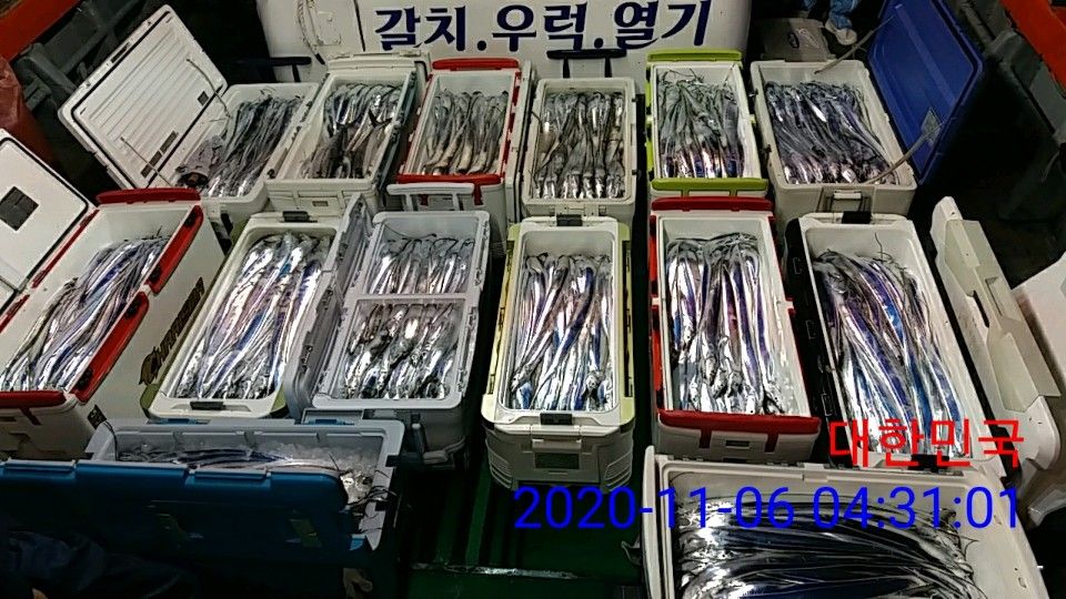 낚시뚜,갈치,국동항,여수 비너스호,낚시뚜24