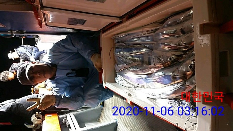낚시뚜,갈치,국동항,여수 비너스호,낚시뚜22