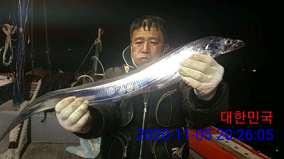 낚시뚜,갈치,국동항,여수 비너스호,낚시뚜6