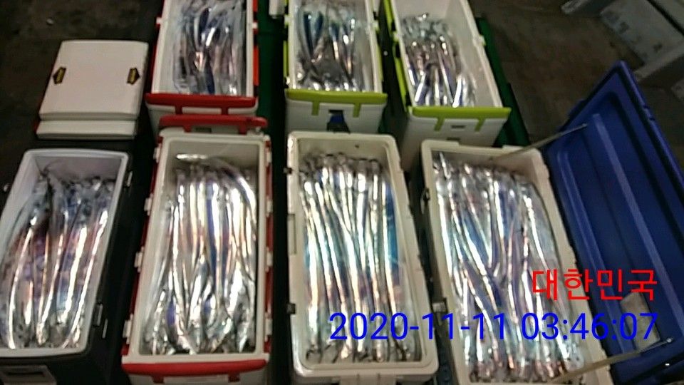 낚시뚜,갈치,국동항,여수 비너스호,낚시뚜20