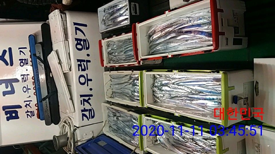 낚시뚜,갈치,국동항,여수 비너스호,낚시뚜21
